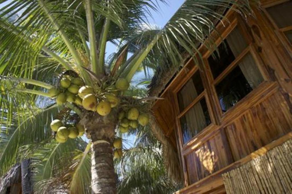 Hotel Tortuga Village San Luis La Herradura Exterior foto